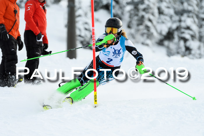 NJR Slalom Damen + Herren, Pass Thurn, 16.11.2019