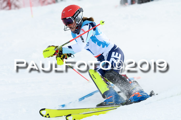 NJR Slalom Damen + Herren, Pass Thurn, 16.11.2019