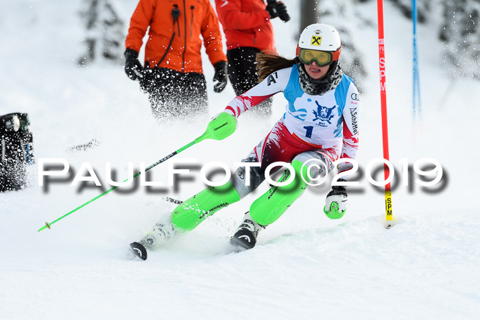 NJR Slalom Damen + Herren, Pass Thurn, 16.11.2019