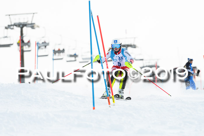 NJR Slalom Damen + Herren, Pass Thurn, 16.11.2019