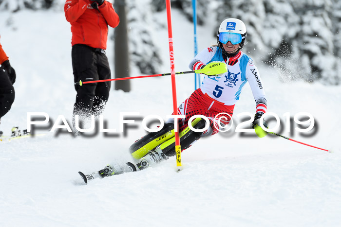 NJR Slalom Damen + Herren, Pass Thurn, 16.11.2019