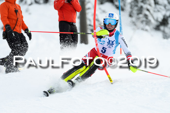 NJR Slalom Damen + Herren, Pass Thurn, 16.11.2019