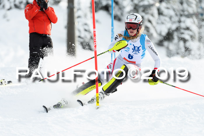 NJR Slalom Damen + Herren, Pass Thurn, 16.11.2019