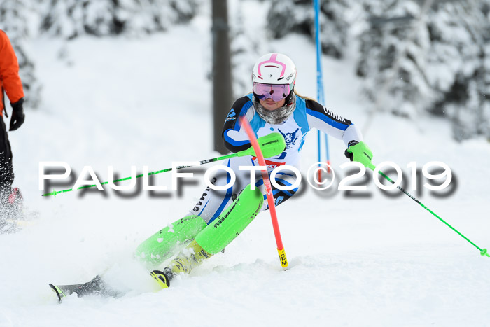 NJR Slalom Damen + Herren, Pass Thurn, 16.11.2019