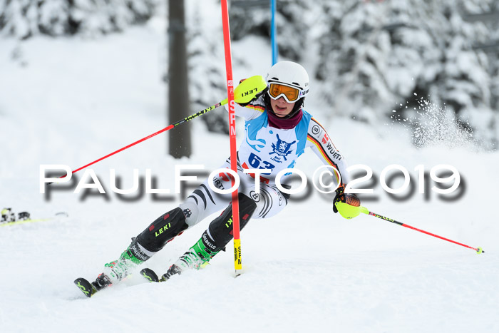 NJR Slalom Damen + Herren, Pass Thurn, 16.11.2019