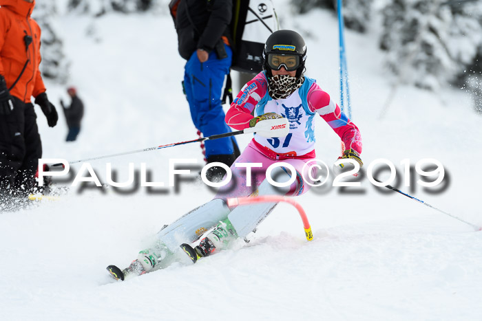 NJR Slalom Damen + Herren, Pass Thurn, 16.11.2019