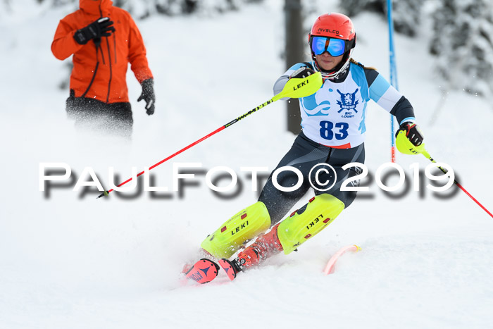 NJR Slalom Damen + Herren, Pass Thurn, 16.11.2019