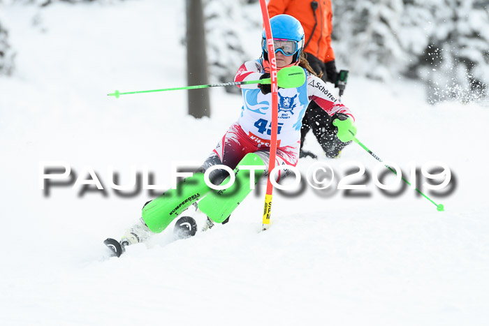 NJR Slalom Damen + Herren, Pass Thurn, 16.11.2019