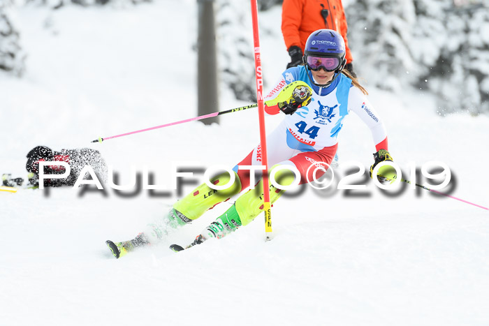 NJR Slalom Damen + Herren, Pass Thurn, 16.11.2019