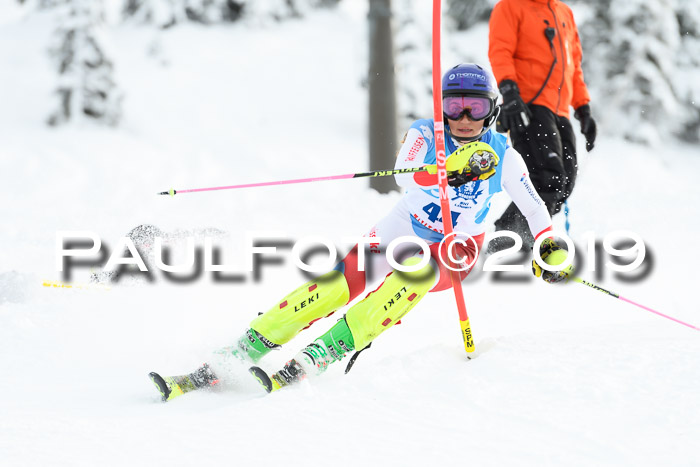 NJR Slalom Damen + Herren, Pass Thurn, 16.11.2019