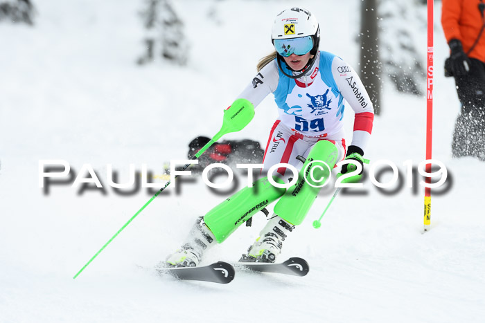 NJR Slalom Damen + Herren, Pass Thurn, 16.11.2019