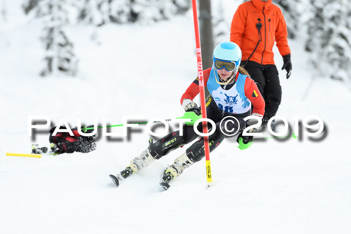 NJR Slalom Damen + Herren, Pass Thurn, 16.11.2019