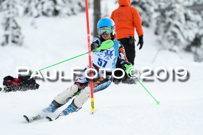 NJR Slalom Damen + Herren, Pass Thurn, 16.11.2019