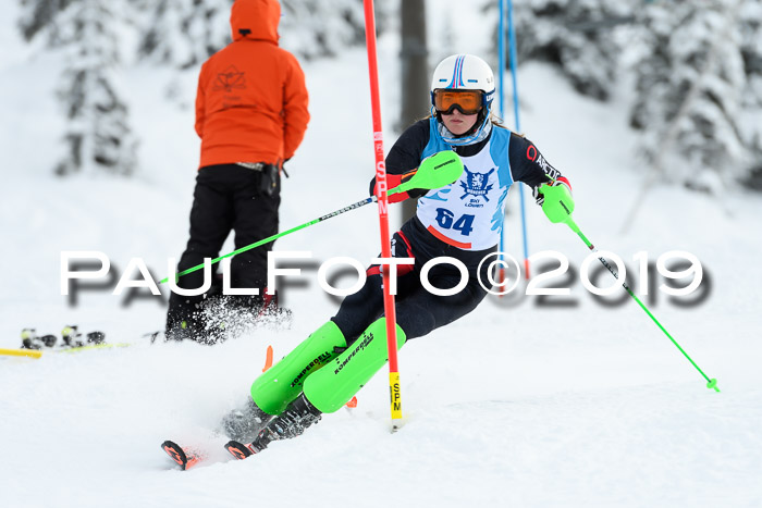 NJR Slalom Damen + Herren, Pass Thurn, 16.11.2019