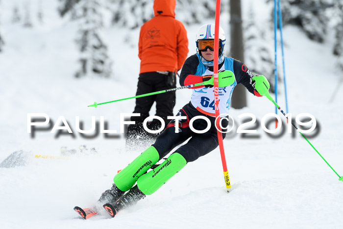 NJR Slalom Damen + Herren, Pass Thurn, 16.11.2019