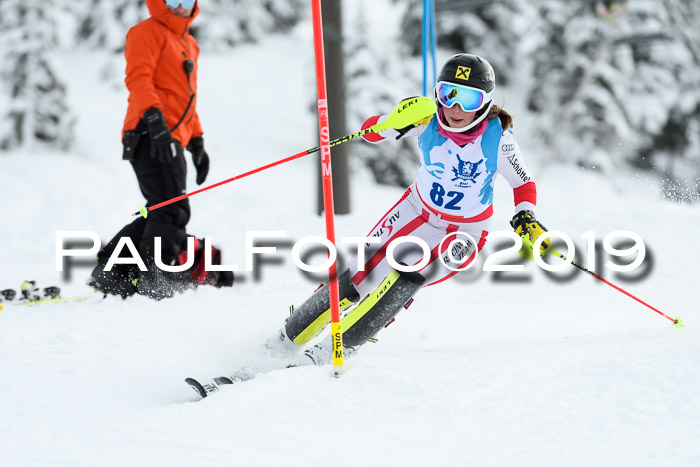 NJR Slalom Damen + Herren, Pass Thurn, 16.11.2019