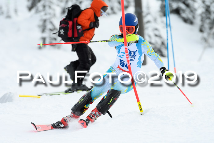 NJR Slalom Damen + Herren, Pass Thurn, 16.11.2019