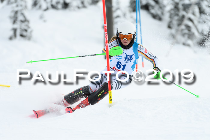 NJR Slalom Damen + Herren, Pass Thurn, 16.11.2019