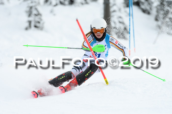 NJR Slalom Damen + Herren, Pass Thurn, 16.11.2019