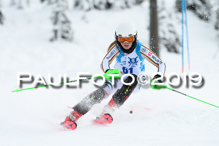 NJR Slalom Damen + Herren, Pass Thurn, 16.11.2019