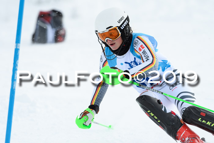 NJR Slalom Damen + Herren, Pass Thurn, 16.11.2019