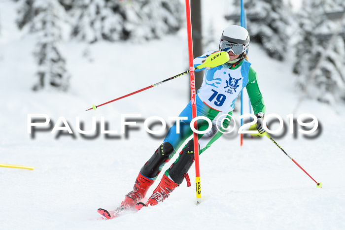 NJR Slalom Damen + Herren, Pass Thurn, 16.11.2019