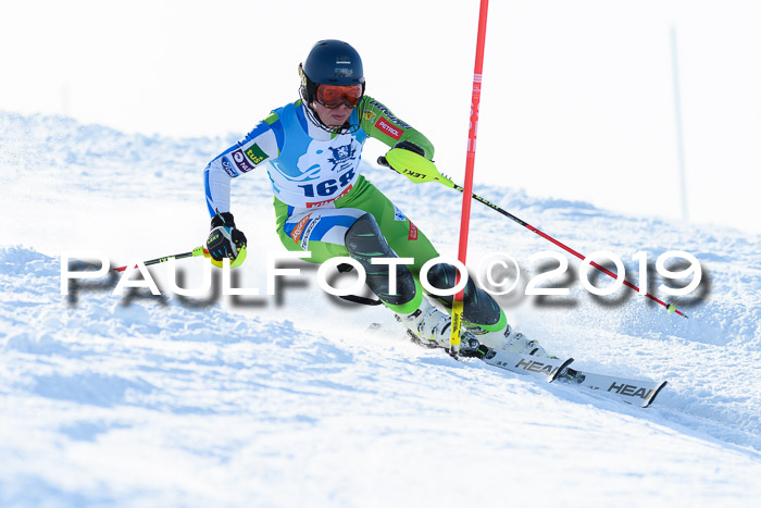 NJR Slalom Damen + Herren, Pass Thurn, 16.11.2019