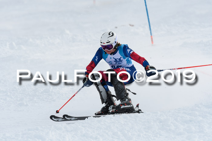 NJR Slalom Damen + Herren, Pass Thurn, 16.11.2019