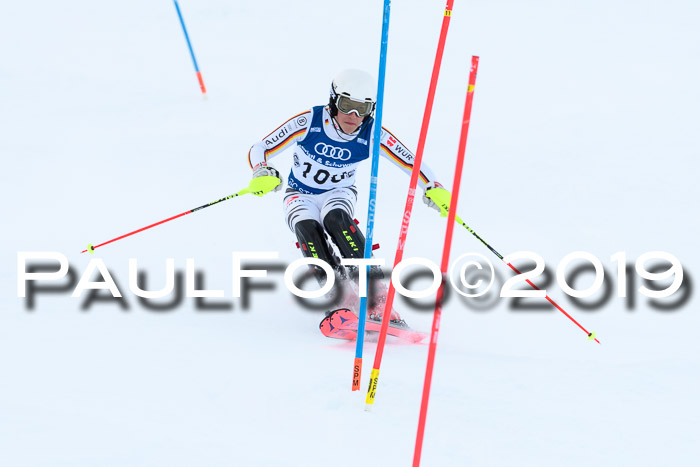 Slalom, NJC AC + FIS L+M