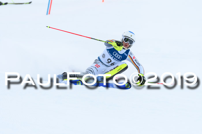 Slalom, NJC AC + FIS L+M