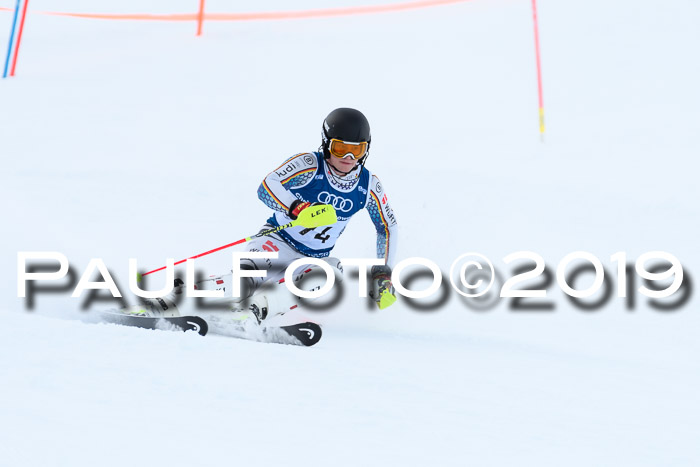 Slalom, NJC AC + FIS L+M