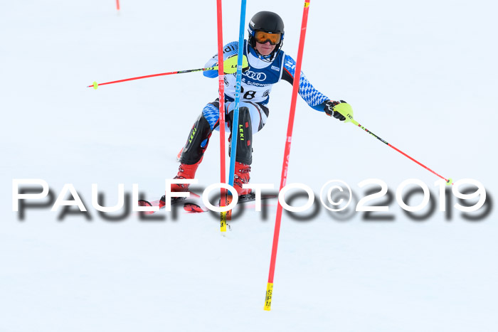 Slalom, NJC AC + FIS L+M