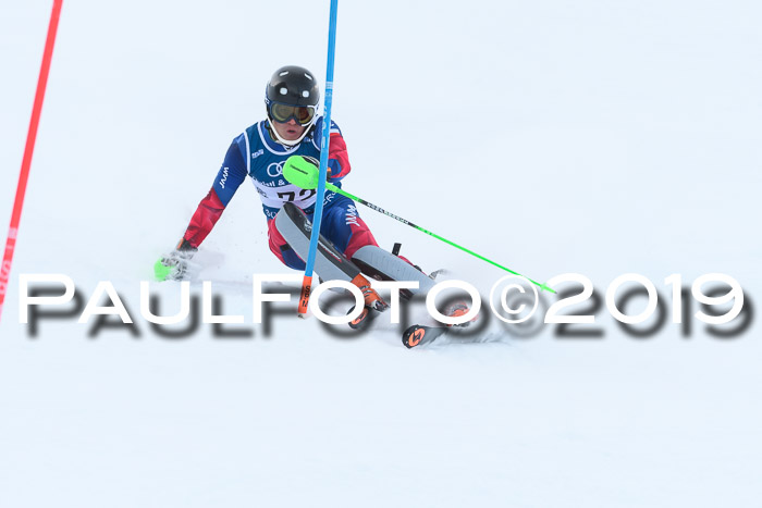 Slalom, NJC AC + FIS L+M