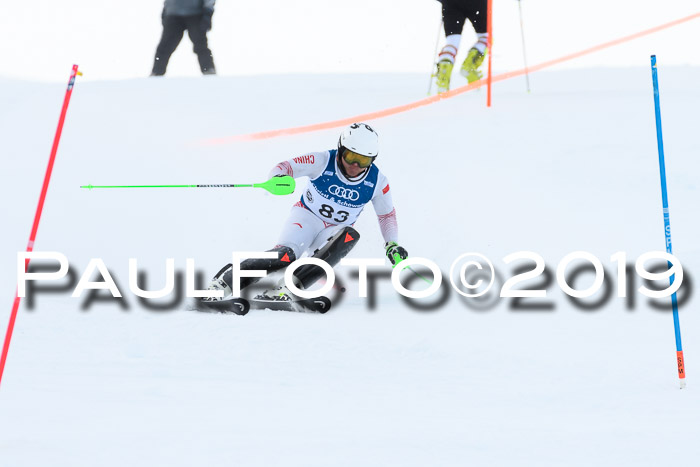 Slalom, NJC AC + FIS L+M