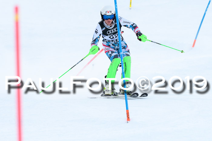 Slalom, NJC AC + FIS L+M