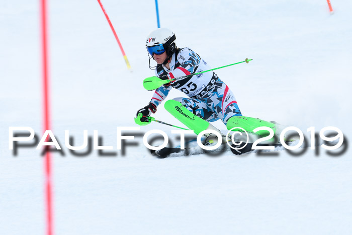 Slalom, NJC AC + FIS L+M