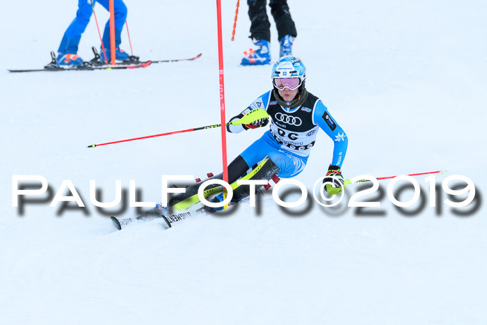 Slalom, NJC AC + FIS L+M