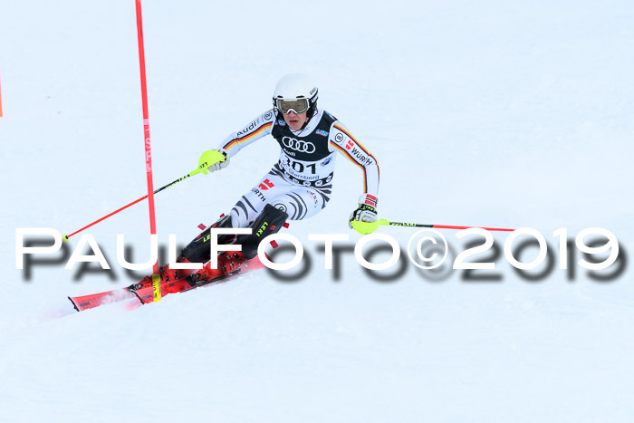 Slalom, NJC AC + FIS L+M