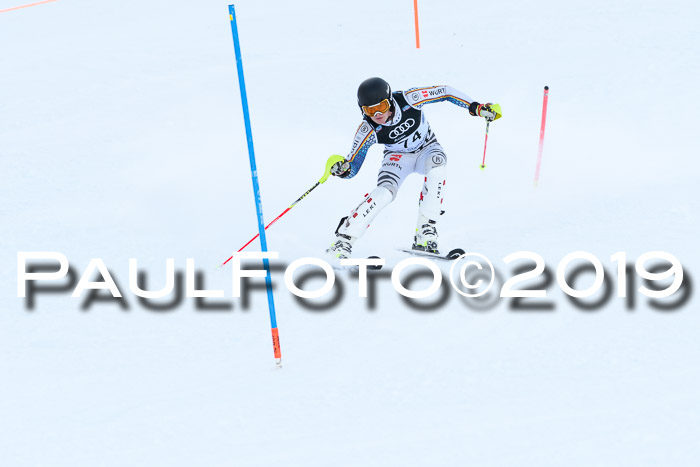 Slalom, NJC AC + FIS L+M