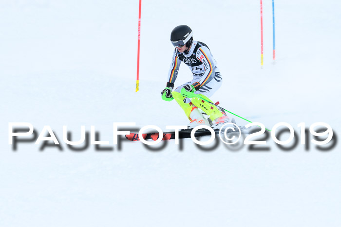 Slalom, NJC AC + FIS L+M