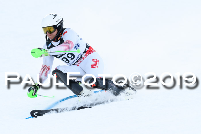 Slalom, NJC AC + FIS L+M