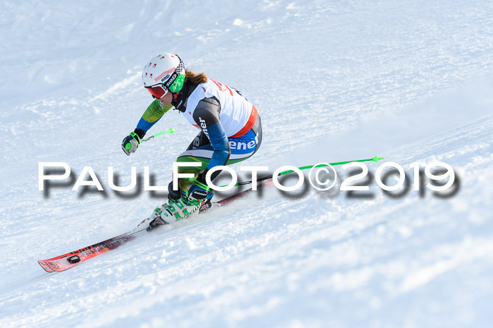 Dt. Schülercup U16 Riesenslalom, 15.12.2019