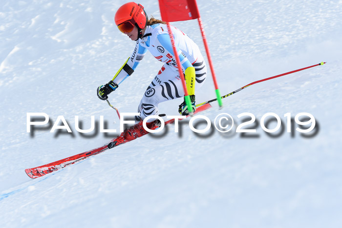 Dt. Schülercup U16 Riesenslalom, 15.12.2019