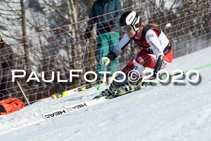 FIS Damen, RS, Maria Alm 09.01.2020