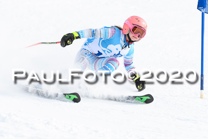 Sechzger Pokal der Skilöwen; U12 Rennserie VRS 11.01.2020