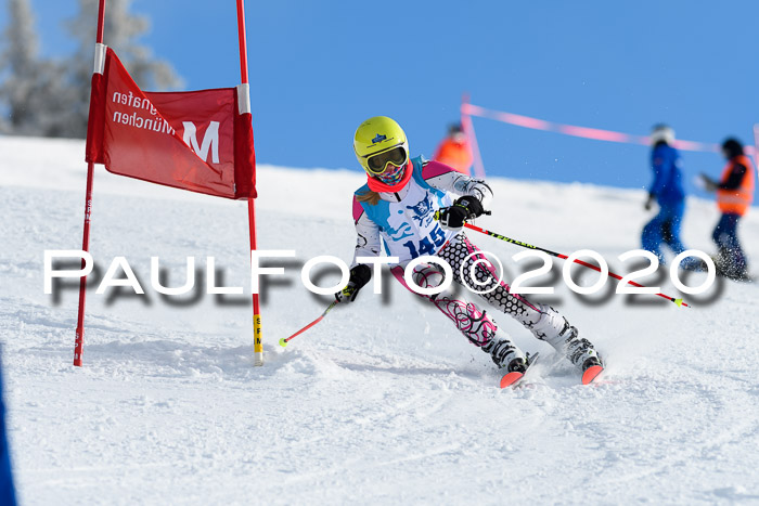 Sechzger Pokal der Skilöwen; U12 Rennserie VRS 11.01.2020