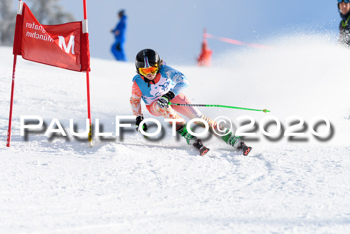 Sechzger Pokal der Skilöwen; U12 Rennserie VRS 11.01.2020