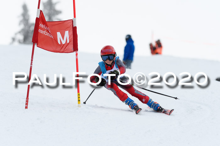 Sechzger Pokal der Skilöwen; U12 Rennserie VRS 11.01.2020