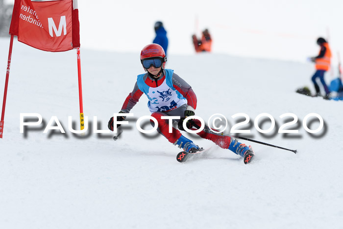 Sechzger Pokal der Skilöwen; U12 Rennserie VRS 11.01.2020