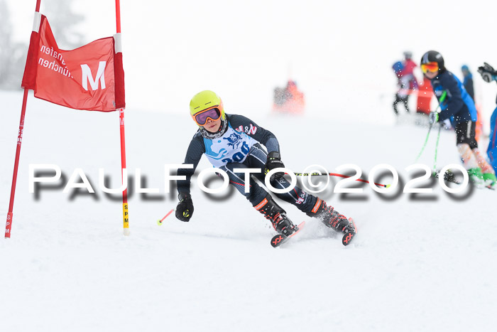 Sechzger Pokal der Skilöwen; U12 Rennserie VRS 11.01.2020